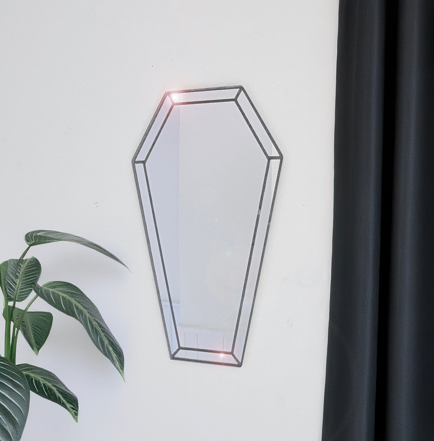 Coffin Shaped Mirror